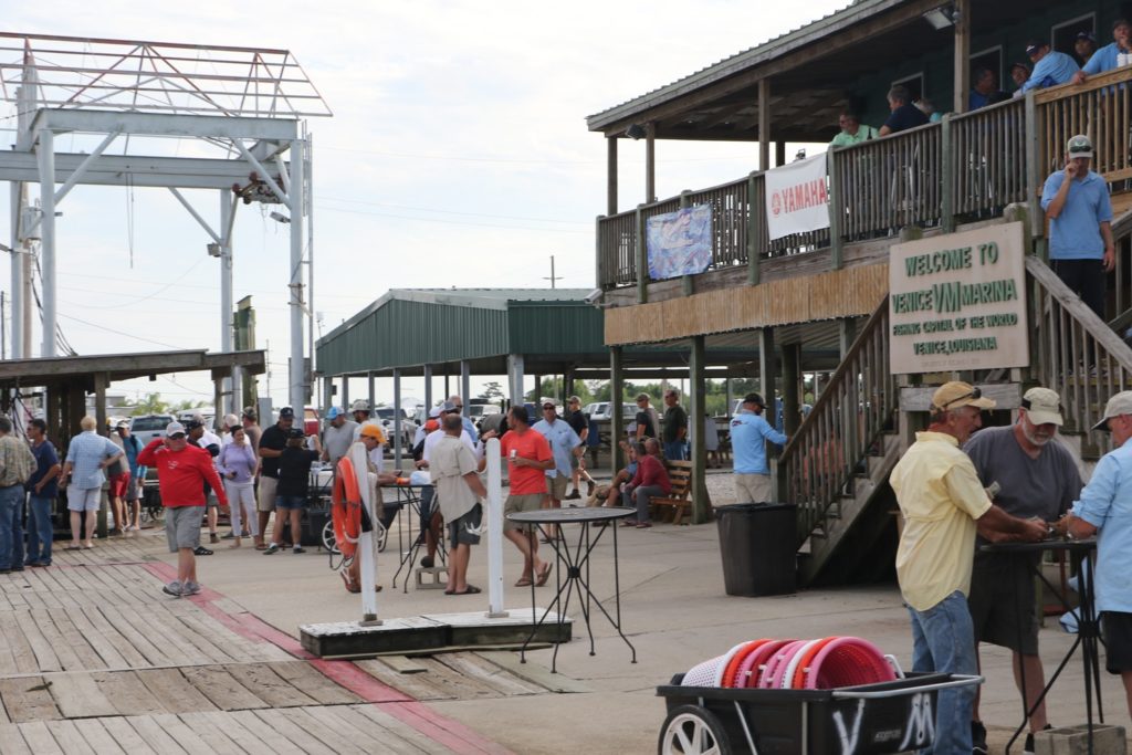 Louisiana redfish free for all — Venice Marina