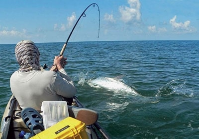 Tarpon fish caught at the surface from a fishing kayak