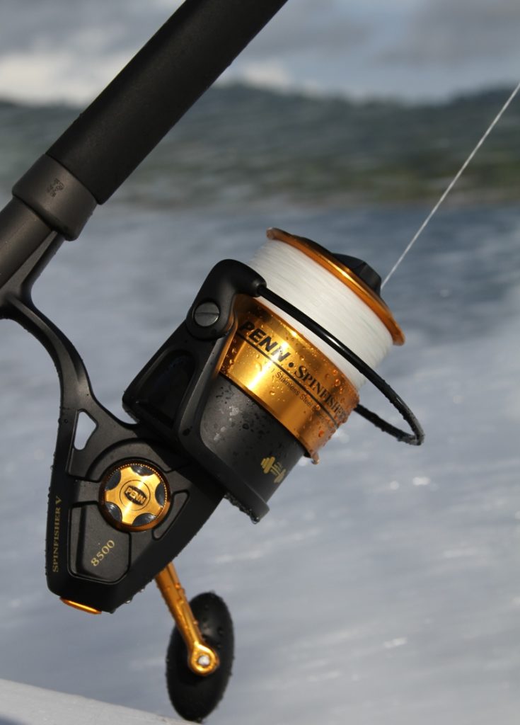 Saltwater fishing spinning reel