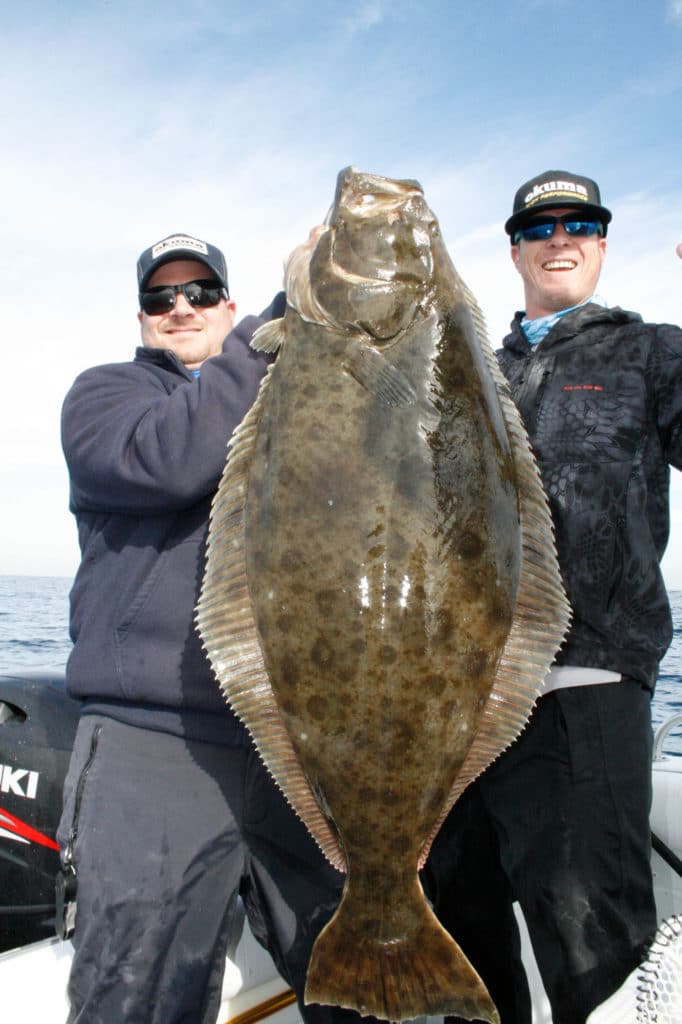 Large California halibut