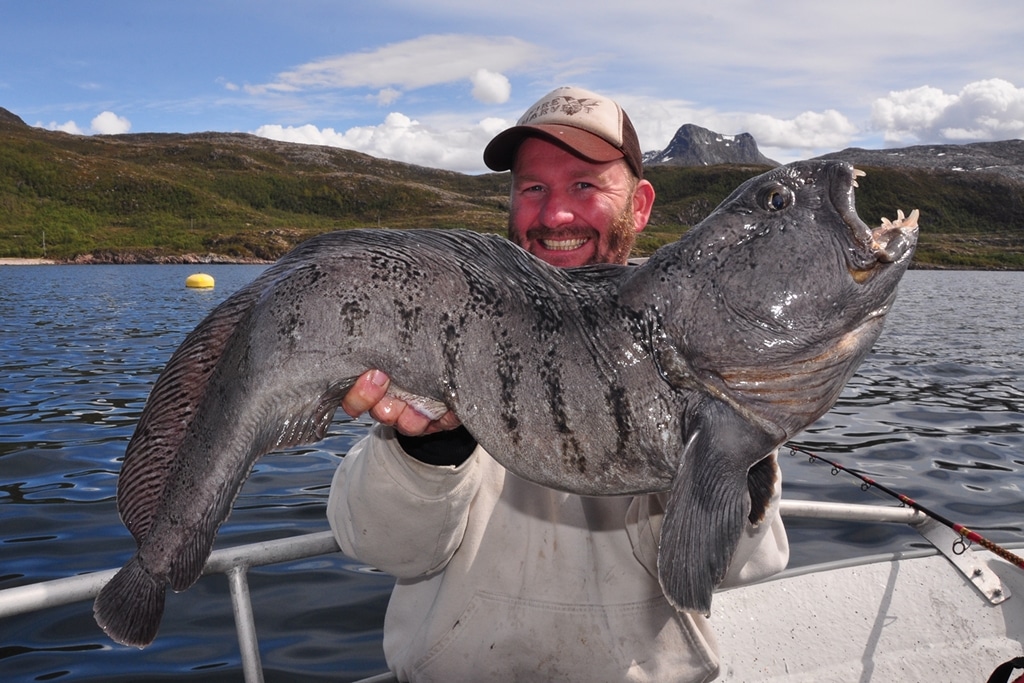 Wild North Atlantic fishing adventure