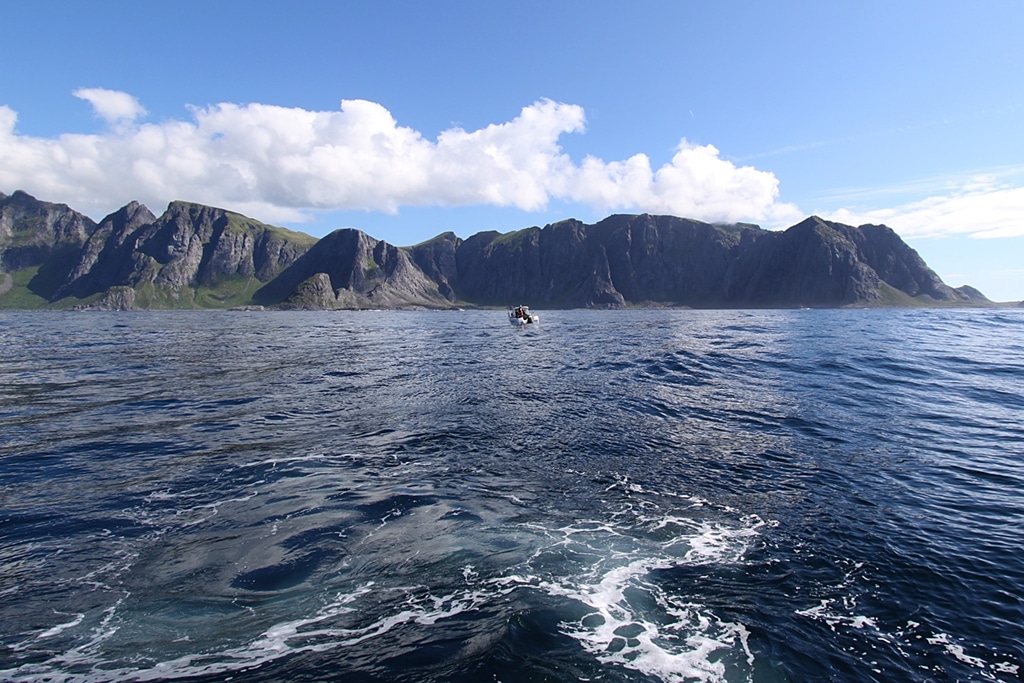 Wild North Atlantic fishing adventure