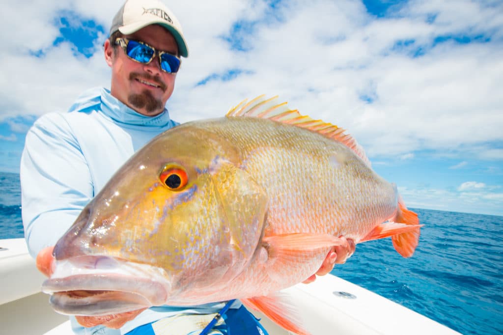 Mutton Snapper