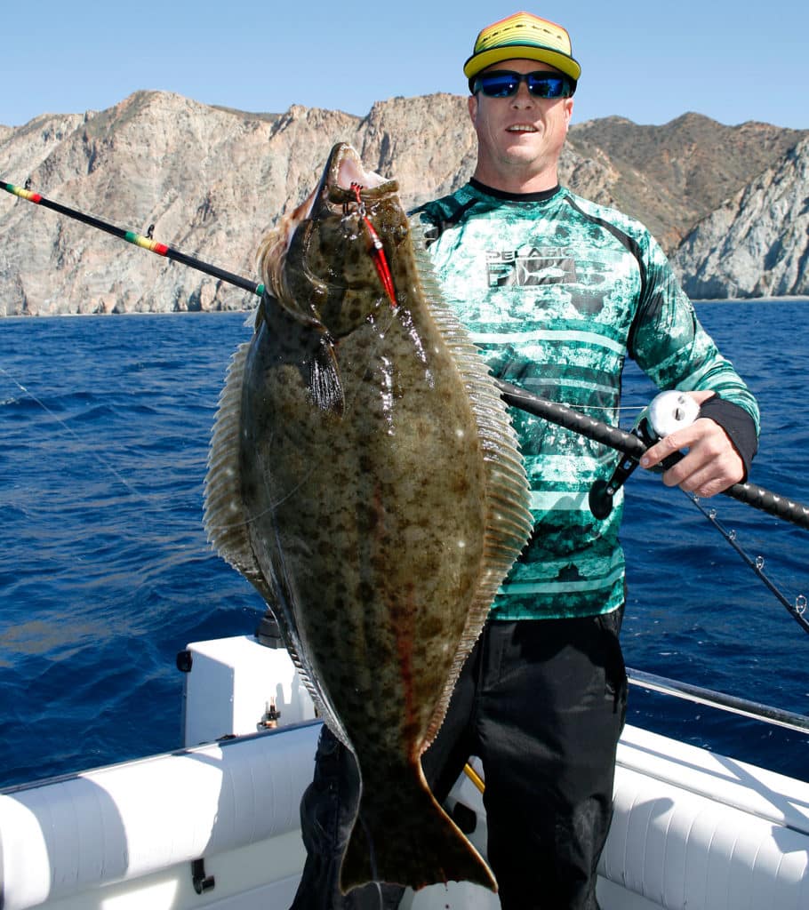 California halibut at Santa Catalina Island