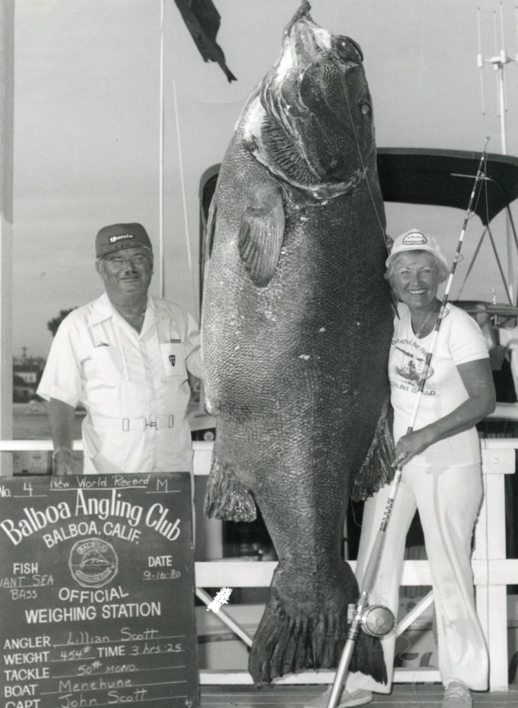 454-POUND GIANT SEA BASS, 50-POUND LINE