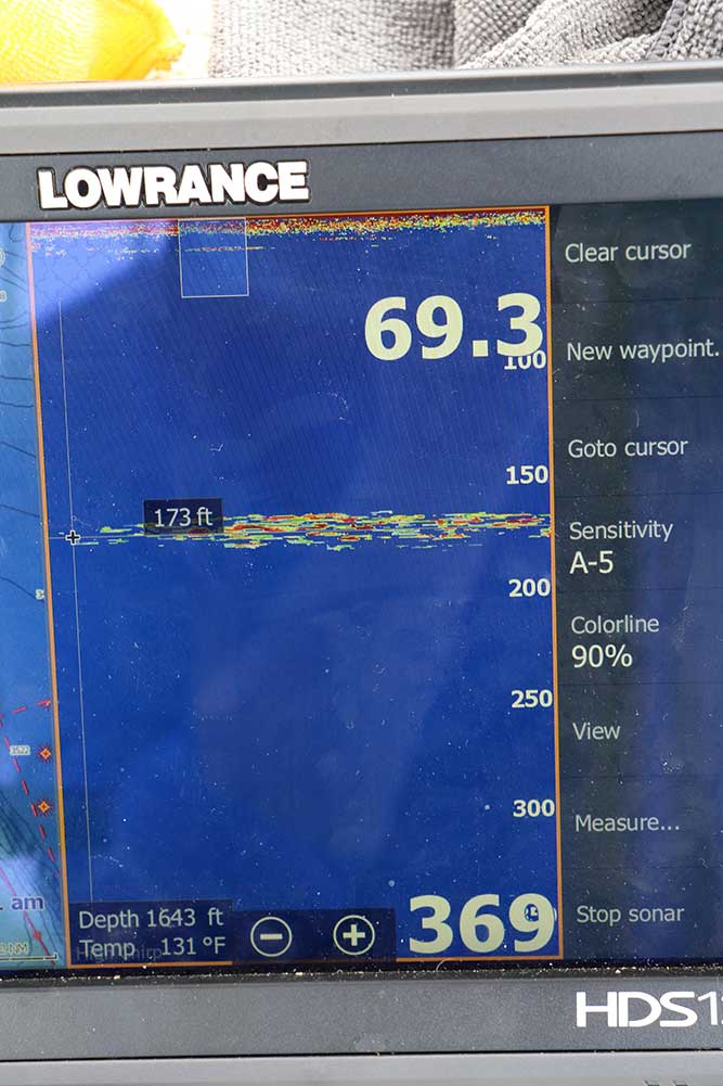 electronics chart sonar