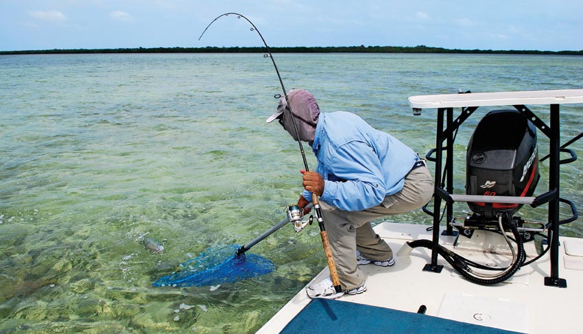 Fisherman netting bonefish caught saltwater flats fishing