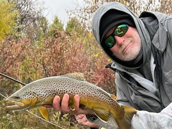 Utah brown trout