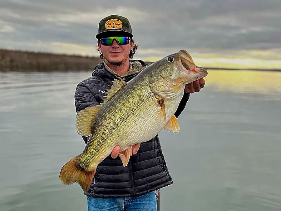 14 pound largemouth bass texas