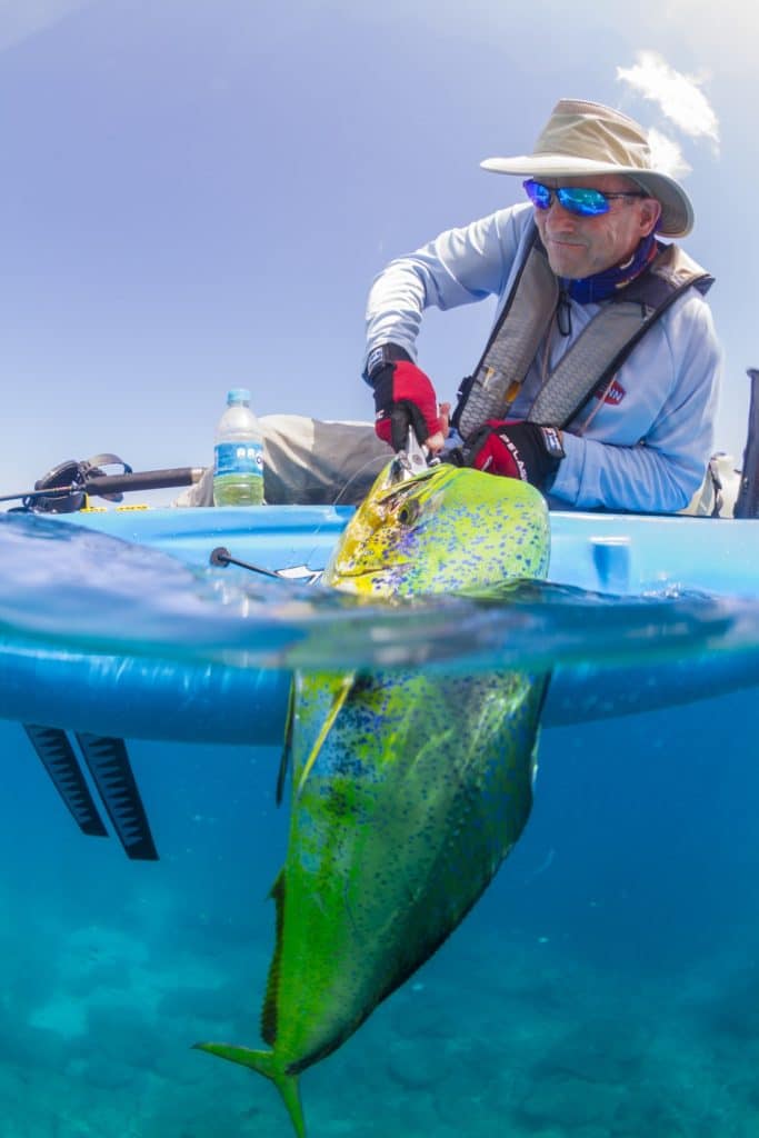 saltwater fisherman releasing dorado Hobie kayak fishing Baja’s Central Sea of Cortez