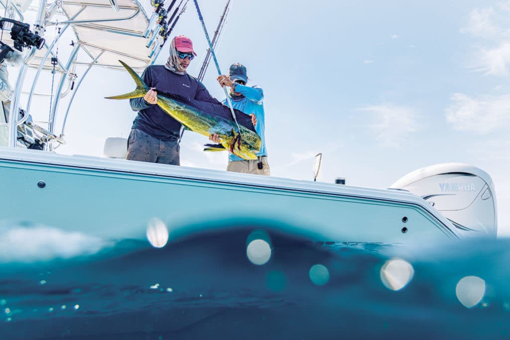 Anglers holding up mahi