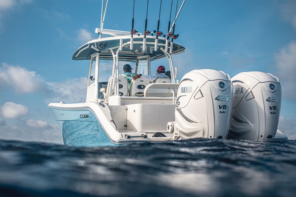 Cobia boat fishing