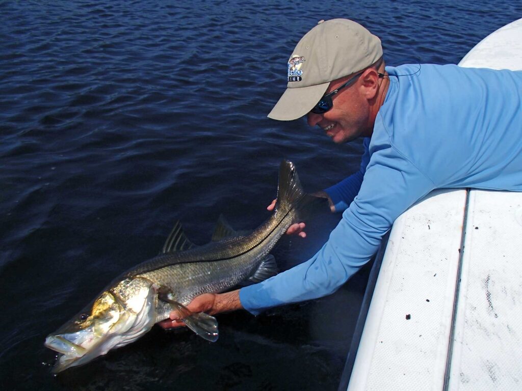 Snook release