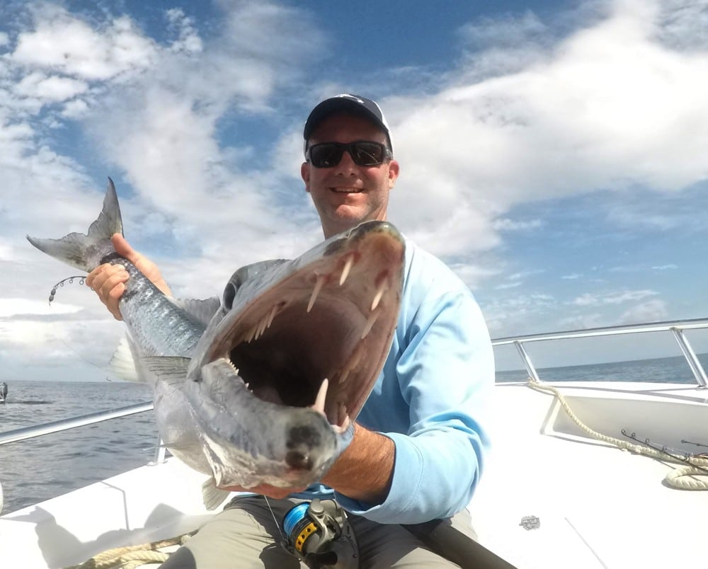 An angler shows the fearsome teeth of a large barracuda.