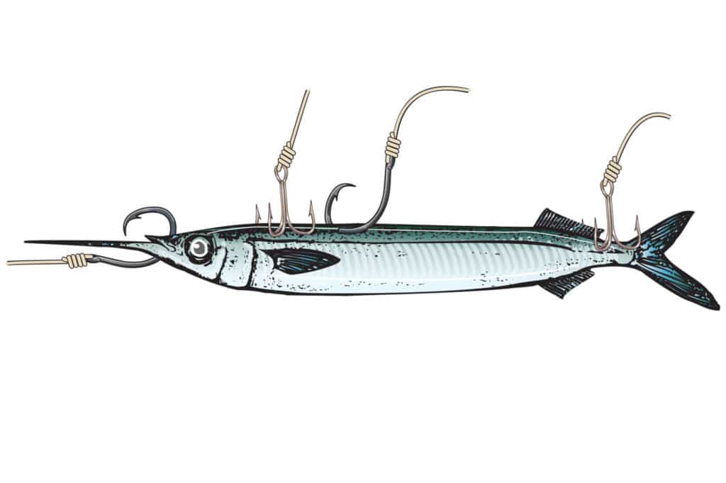 Capt. Robert Trosset's tips for hooking ballyhoo