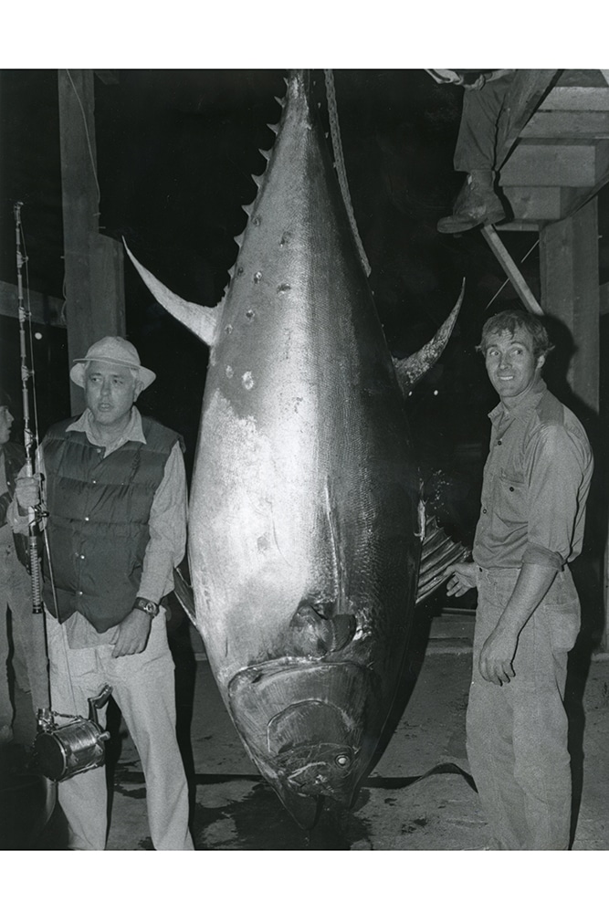 Fishing world record huge bluefin tuna fish