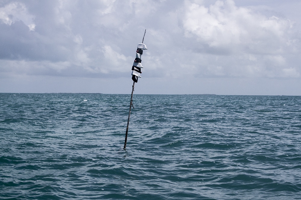 Belize Fly Fishing Tarpon - 10