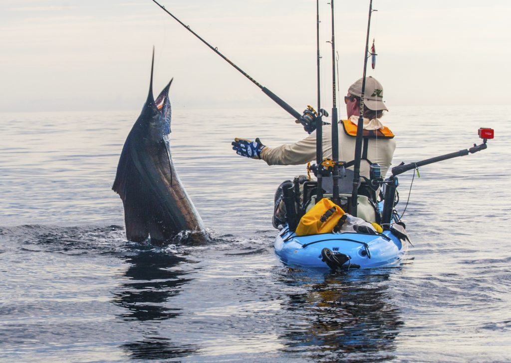 jumping Pacific sailfish Hobie kayak fishing Baja’s Central Sea of Cortez