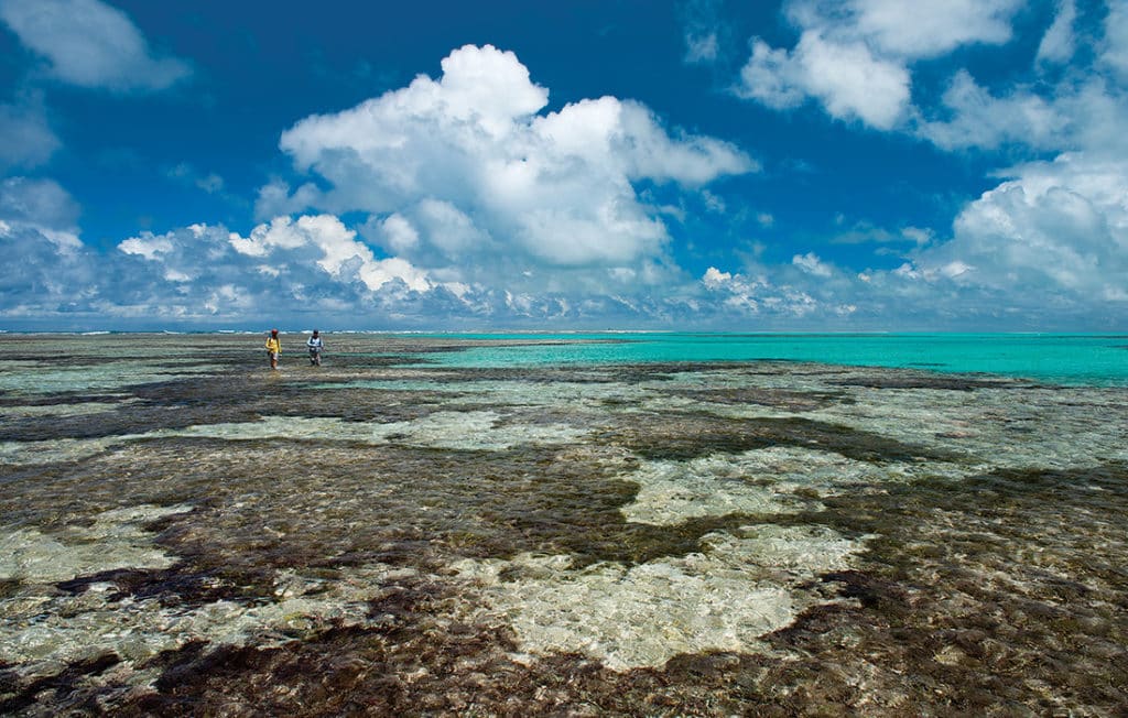 wading the flats