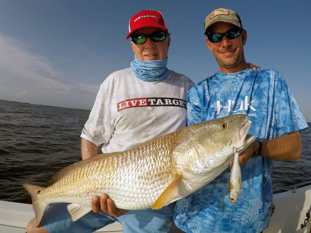 Redfish-hemligheter avslöjade av biologerRedfish-hemligheter avslöjade av biologer  