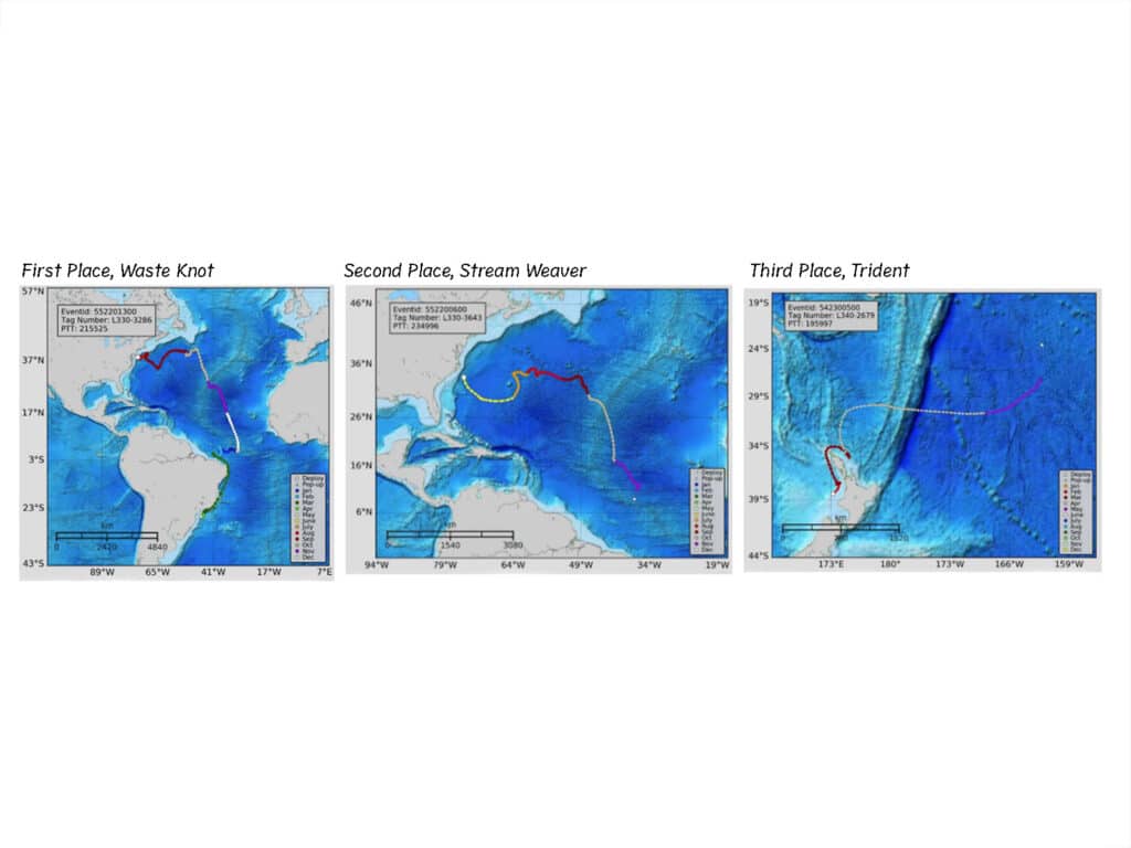 Tracking marlin movements