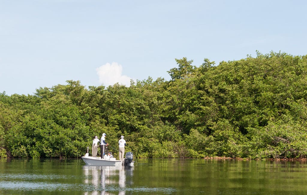 fishing a shoreline