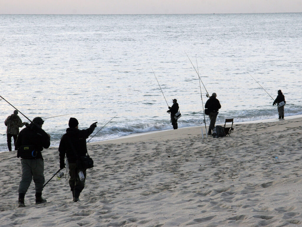 fishing the surf