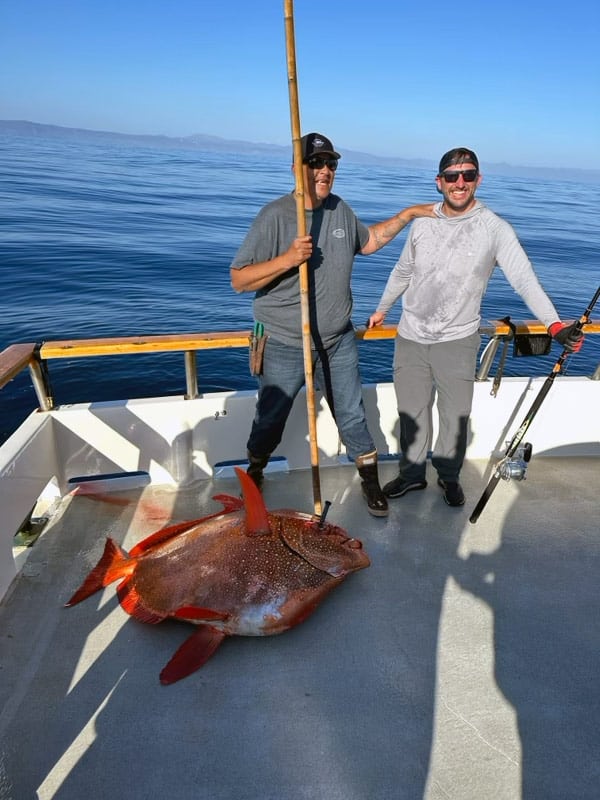 California opah