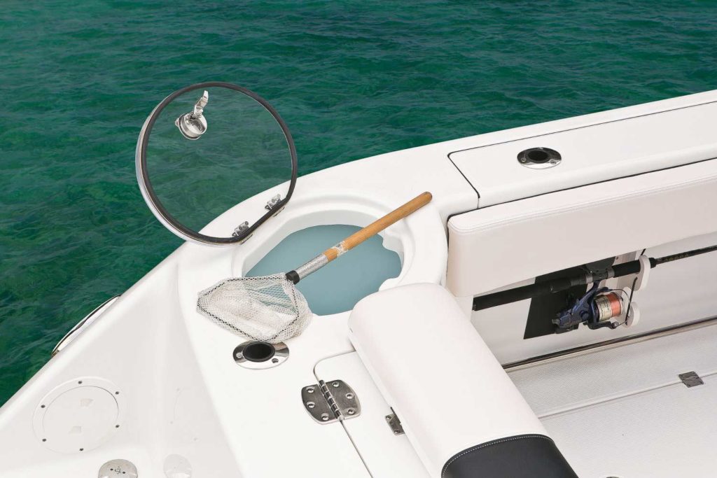 Robalo R302