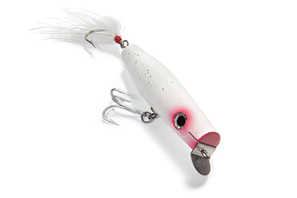 Gibbs’ ProSeries Danny Surface Swimmer