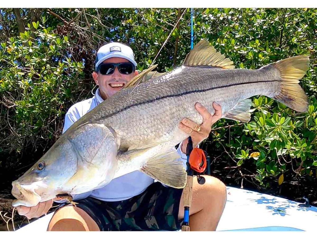 snook caught on vibe lure