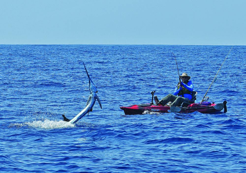 Hooked Pacific sailfish leaps next to kayak off Guatemala