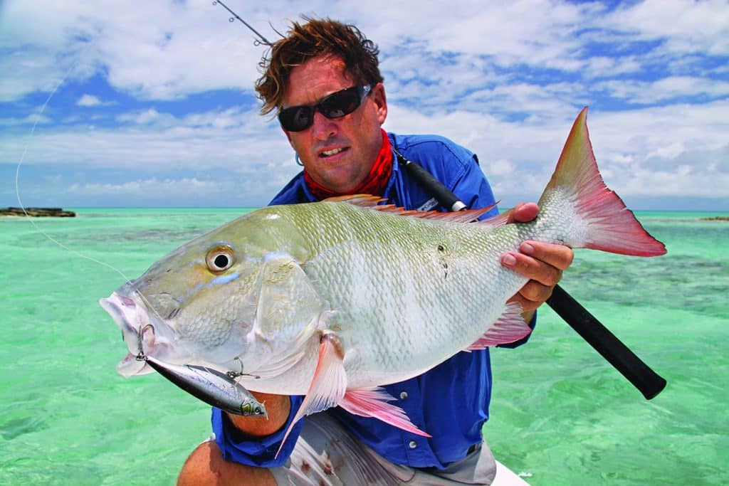 Mutton snapper on a stickbait