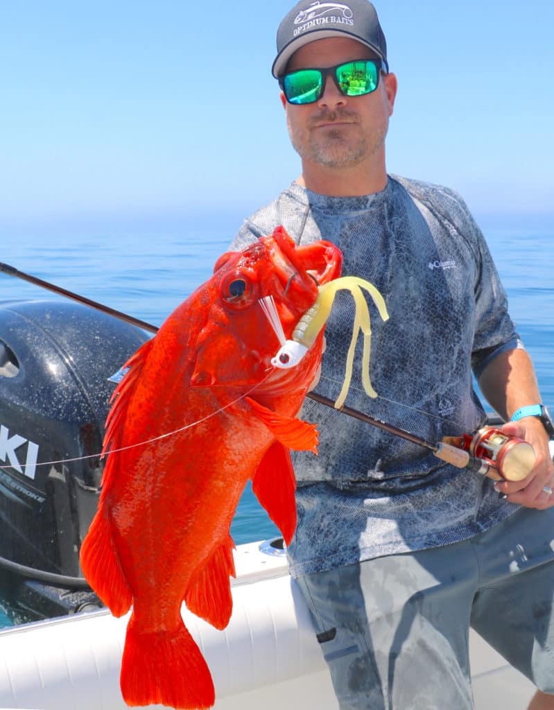 Rockfish caught using an imitation octopus