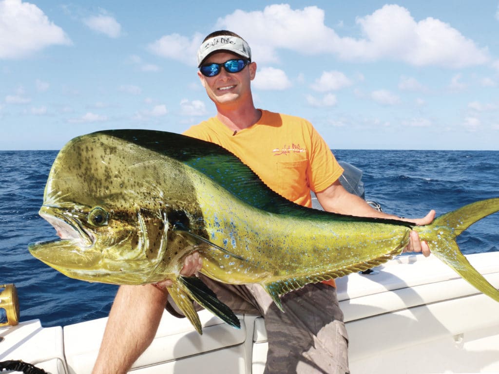 mahi in Cayman Islands