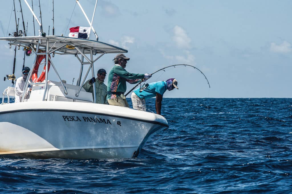 Catching a large fish using a heavy spinning rod