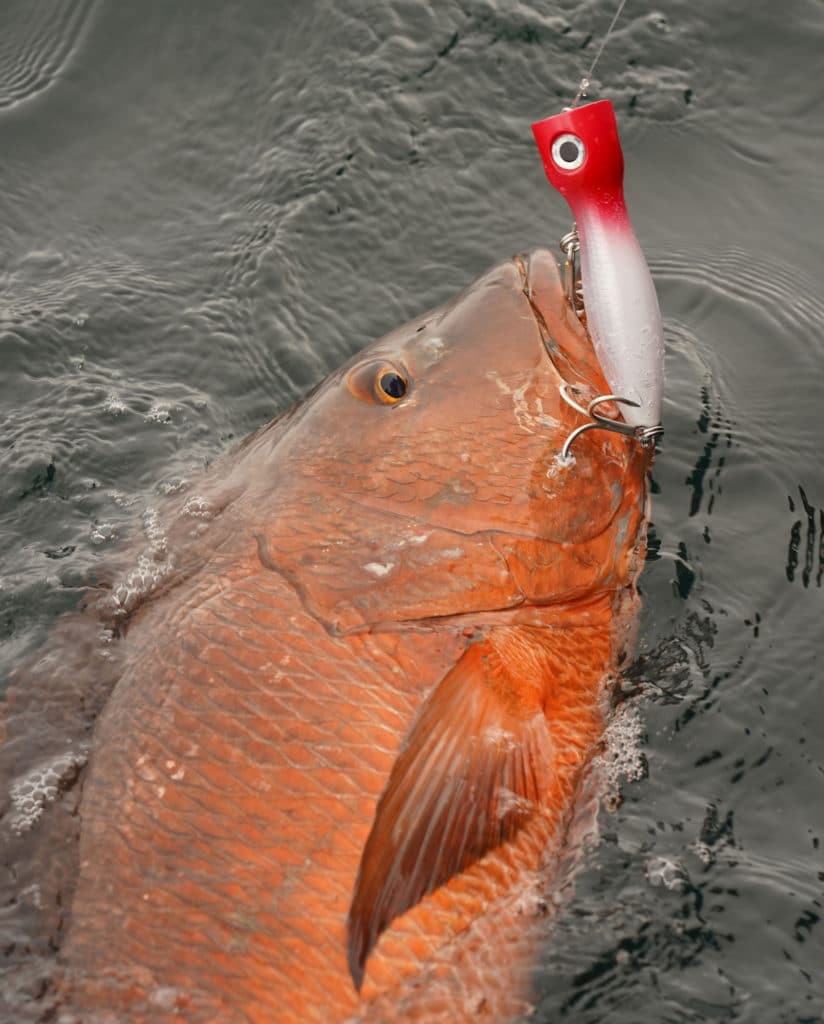 Fishing the Lonely Pacific Coast of Colombia