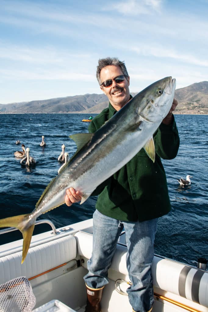 Yellowtail caught in Southern California