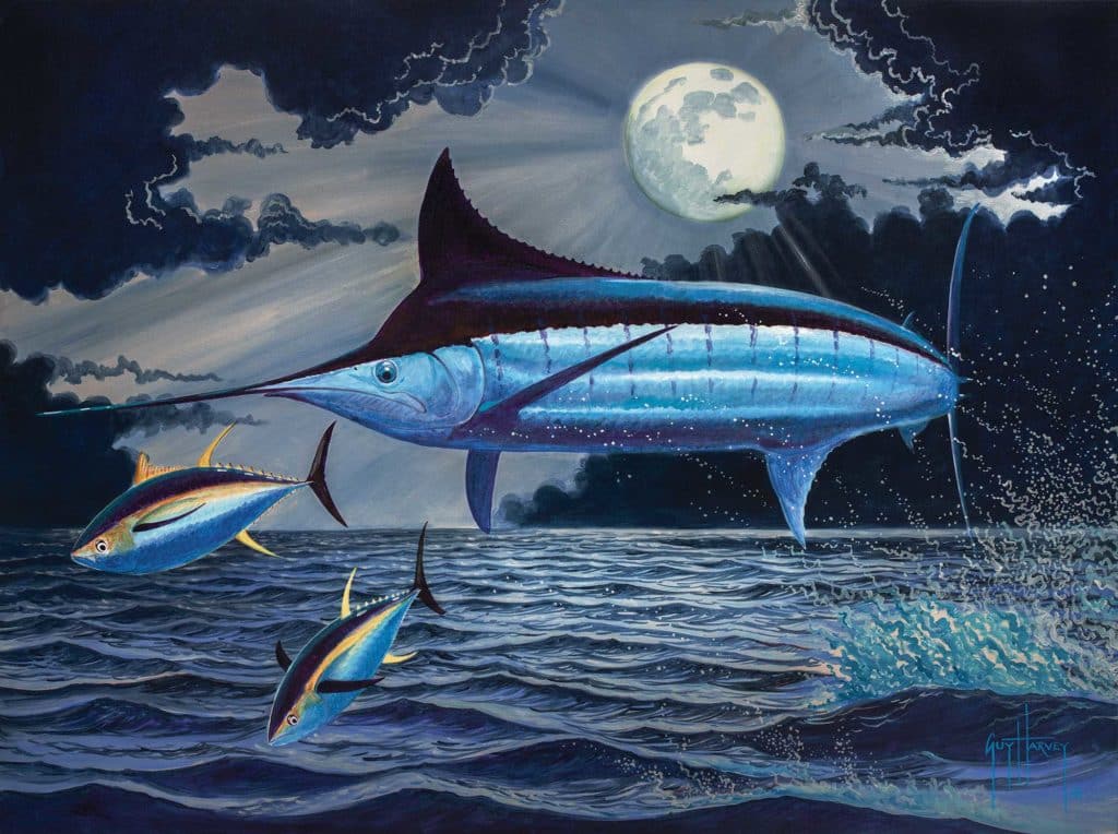 How Moon Phase Affects Fishing Success