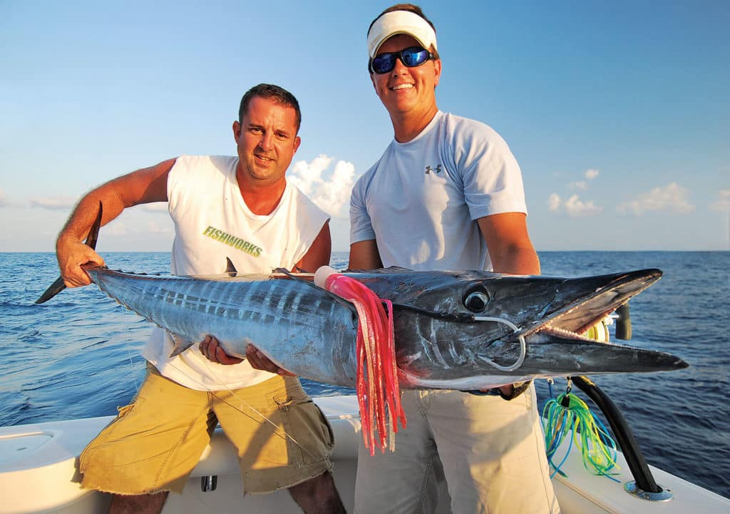 Wahoo caught using a teaser