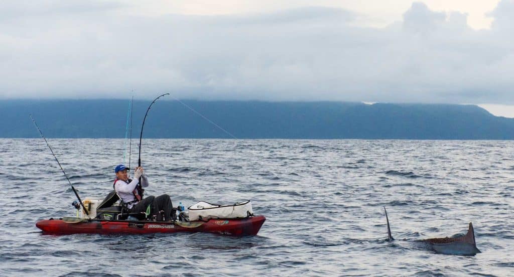 Massive Black Marlin Caught By Solo Kayaker