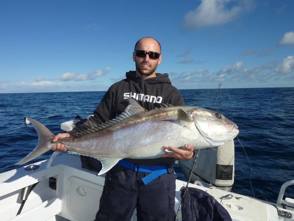 Samsonfish caught for the first time by Fady Dib