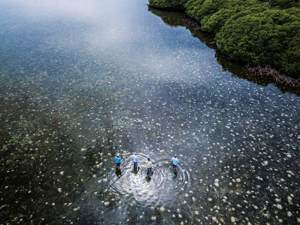 Discover Roatan Island's Flats Fishing