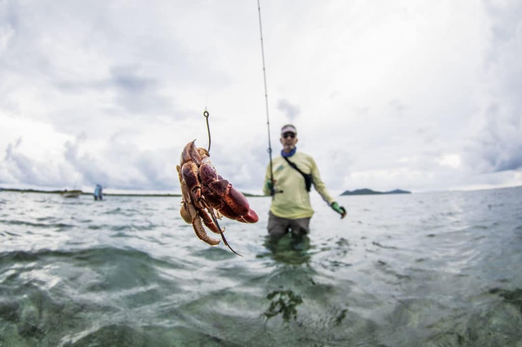 Discover Roatan Island's Flats Fishing