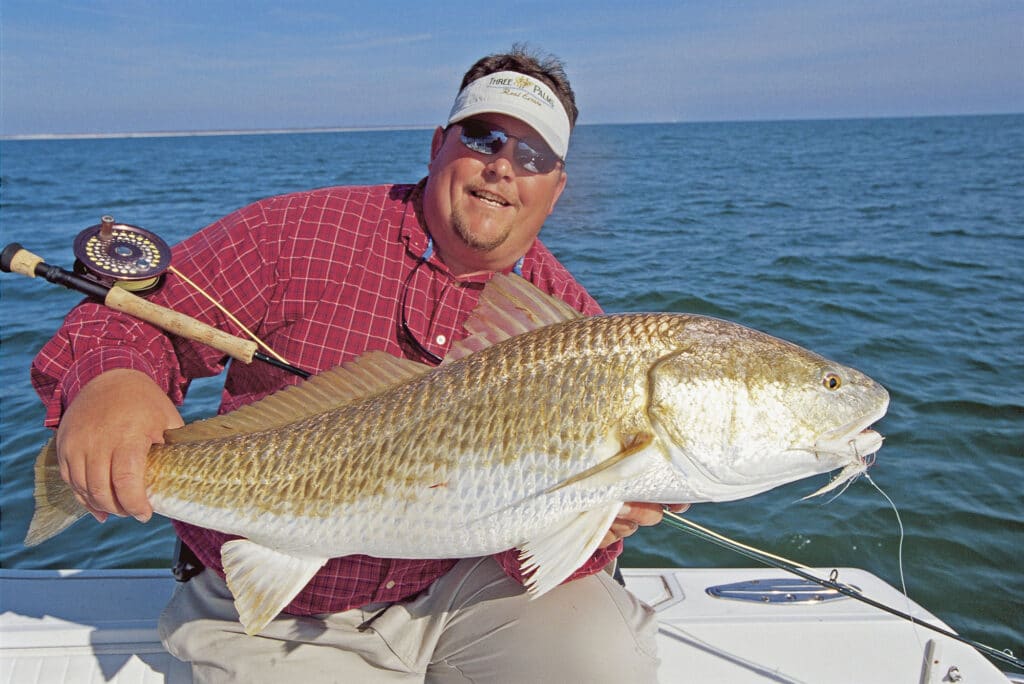 Large redfish on fly