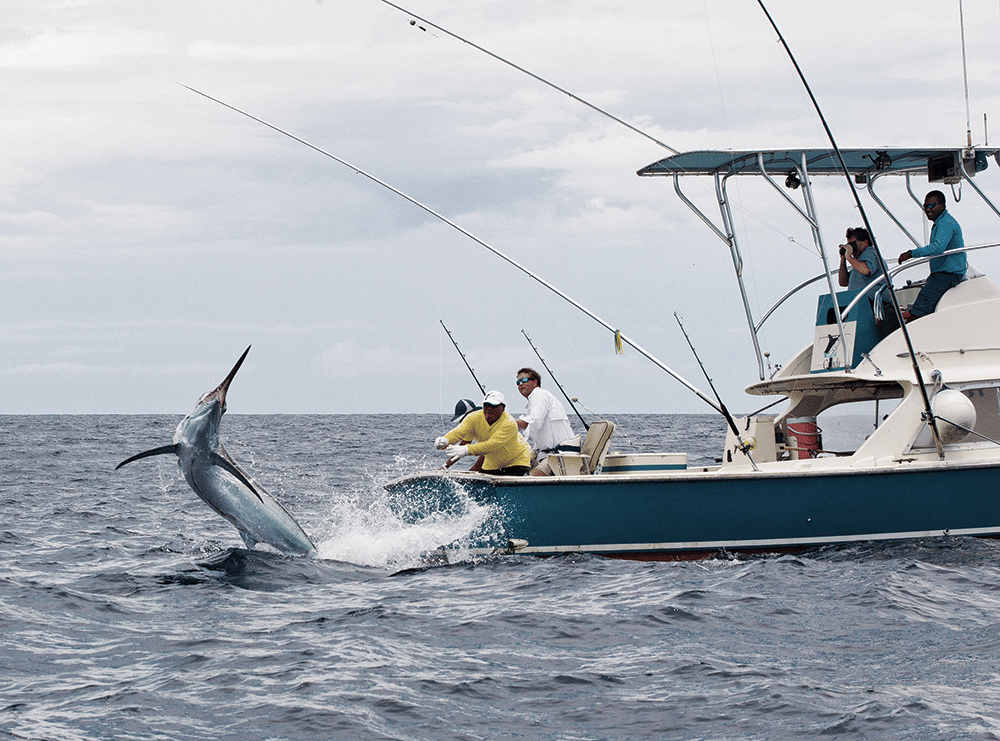 Marlin jumping next to a deeps fishing boat